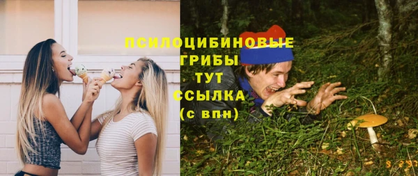 Альфа ПВП Дмитриев